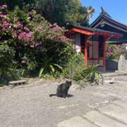 ヒメ日記 2025/07/06 12:49 投稿 あずさ G-SCANDAL