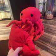 ヒメ日記 2025/08/03 14:29 投稿 あずさ G-SCANDAL