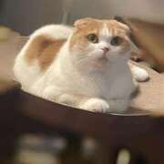 ヒメ日記 2026/01/08 20:29 投稿 あずさ G-SCANDAL