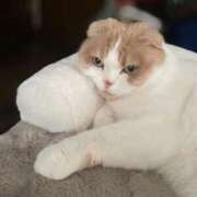 あずさ 時間変更 G-SCANDAL