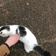 ヒメ日記 2026/02/07 19:32 投稿 如月　ゆな ベルサイユの薔薇