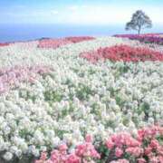 ヒメ日記 2024/12/12 22:24 投稿 ゆかり 神戸人妻援護会