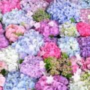 ゆかり いつもありがとうございます 神戸人妻援護会