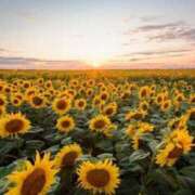 かな 立秋 即トク奥さん