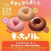 ヒメ日記 2026/05/23 14:21 投稿 水沢 透子 30代40代50代と遊ぶなら博多人妻専科24時