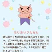 ヒメ日記 2026/05/23 15:49 投稿 水沢 透子 30代40代50代と遊ぶなら博多人妻専科24時