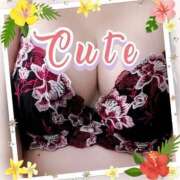 ヒメ日記 2026/02/14 14:26 投稿 ゆき 桃色奥様 松戸本店