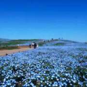 ヒメ日記 2026/04/16 12:40 投稿 ゆき 桃色奥様 松戸本店