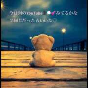 ヒメ日記 2025/11/29 23:15 投稿 めいか やまとなでしこ 豊橋店～人妻エロエロ星人～