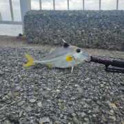 ヒメ日記 2025/09/15 12:49 投稿 成瀬まこ プレジデントクラブ