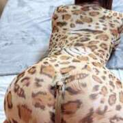 成瀬まこ 12時～・17時以降🈳️♪︎ プレジデントクラブ