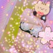 ヒメ日記 2025/04/18 20:21 投稿 神崎 錦糸町おかあさん