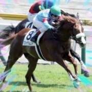 ヒメ日記 2025/08/08 07:48 投稿 本上 錦糸町おかあさん