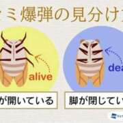 ヒメ日記 2025/08/23 17:41 投稿 本上 錦糸町おかあさん