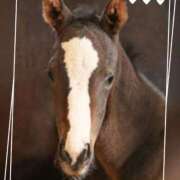 ヒメ日記 2025/09/12 11:59 投稿 本上 錦糸町おかあさん