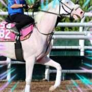 ヒメ日記 2025/10/12 12:24 投稿 本上 錦糸町おかあさん