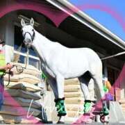 ヒメ日記 2025/10/12 15:11 投稿 本上 錦糸町おかあさん