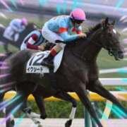 ヒメ日記 2025/10/13 11:33 投稿 本上 錦糸町おかあさん