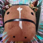 ヒメ日記 2025/10/26 18:47 投稿 本上 錦糸町おかあさん