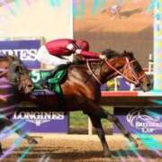 ヒメ日記 2025/11/02 12:30 投稿 本上 錦糸町おかあさん