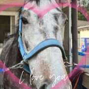 ヒメ日記 2025/11/13 15:21 投稿 本上 錦糸町おかあさん