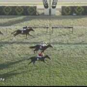 ヒメ日記 2025/11/24 15:58 投稿 本上 錦糸町おかあさん