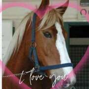 ヒメ日記 2025/11/28 22:00 投稿 本上 錦糸町おかあさん