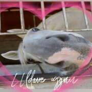 ヒメ日記 2025/12/02 10:52 投稿 本上 錦糸町おかあさん