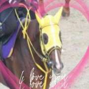 ヒメ日記 2025/12/03 23:38 投稿 本上 錦糸町おかあさん