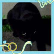 ヒメ日記 2025/12/23 10:05 投稿 本上 錦糸町おかあさん