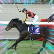 ヒメ日記 2025/12/28 16:20 投稿 本上 錦糸町おかあさん