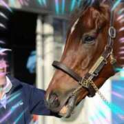 ヒメ日記 2026/02/04 14:36 投稿 本上 錦糸町おかあさん