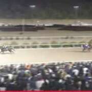 ヒメ日記 2026/02/13 11:28 投稿 本上 錦糸町おかあさん