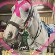 ヒメ日記 2026/02/22 14:16 投稿 本上 錦糸町おかあさん