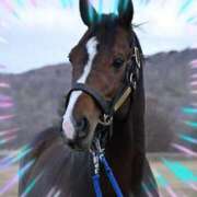 ヒメ日記 2026/03/02 12:08 投稿 本上 錦糸町おかあさん