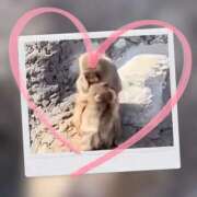 ヒメ日記 2026/03/11 11:57 投稿 本上 錦糸町おかあさん