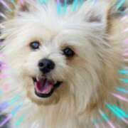 ヒメ日記 2026/03/16 13:28 投稿 本上 錦糸町おかあさん