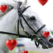 ヒメ日記 2026/03/17 16:15 投稿 本上 錦糸町おかあさん