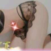 ヒメ日記 2026/03/24 14:50 投稿 本上 錦糸町おかあさん