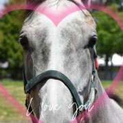 本上 ソラちゃん❤(ӦｖӦ｡)おめでとう❤(ӦｖӦ｡) 錦糸町おかあさん