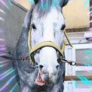 ヒメ日記 2026/07/12 22:11 投稿 本上 錦糸町おかあさん