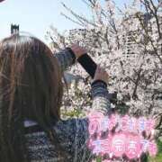 ヒメ日記 2025/04/29 12:03 投稿 さゆり☆ 豊橋豊川ちゃんこ