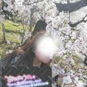 ヒメ日記 2025/05/14 22:12 投稿 さゆり☆ 豊橋豊川ちゃんこ