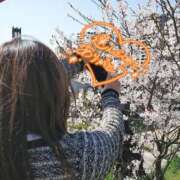 ヒメ日記 2025/06/05 17:52 投稿 さゆり☆ 豊橋豊川ちゃんこ