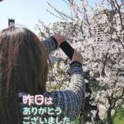 ヒメ日記 2025/10/23 11:52 投稿 さゆり☆ 豊橋豊川ちゃんこ