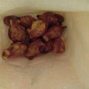 ヒメ日記 2025/10/24 11:52 投稿 さゆり☆ 豊橋豊川ちゃんこ