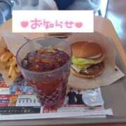 ヒメ日記 2026/02/11 12:35 投稿 さゆり☆ 豊橋豊川ちゃんこ