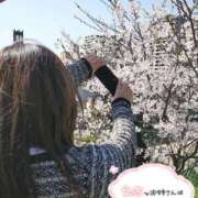 ヒメ日記 2026/02/25 10:52 投稿 さゆり☆ 豊橋豊川ちゃんこ