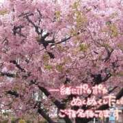 ヒメ日記 2026/03/02 19:12 投稿 さゆり☆ 豊橋豊川ちゃんこ