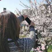 ヒメ日記 2026/04/09 20:02 投稿 さゆり☆ 豊橋豊川ちゃんこ